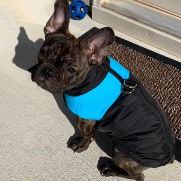 Waterproof Vest - Sleeveless Rain Protection