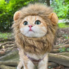 Cute Lion Mane Cat Costume - Roar-Worthy Transformation