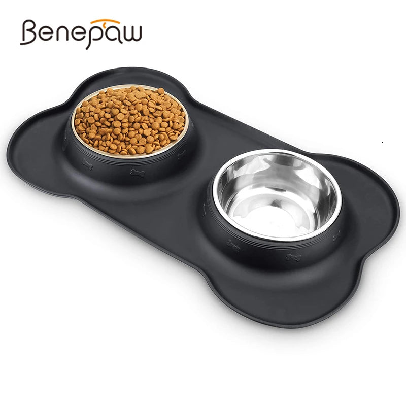 Stainless Steel Double Pet Bowl - Non-Skid Silicone Mat