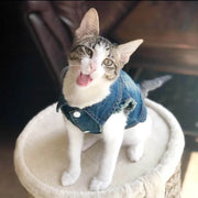 Denim Cat Clothes - Casual Western Style