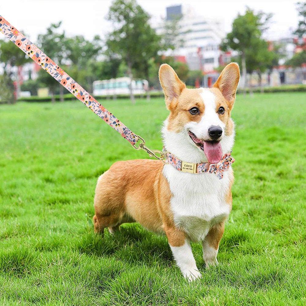 Engraved Dog Collar - Personalized ID Safety