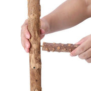 Natural Wooden Birds Perch - Healthy Foot Exercise