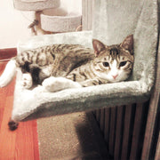 Hanging Cat Bed - Space-Saving Hammock Design