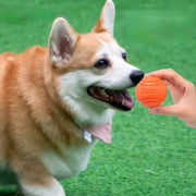 Interactive Rubber Ball - Treat Dispensing Toy