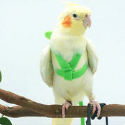 Adjustable Bird Harness Leash Set - Safe Outdoor Adventure