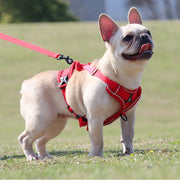 Reflective Dog Harness for Small Dogs - Night Safety