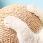 Cat Scratching Ball - Interactive Claw Care Toy