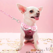 Nylon Printed Harness - Stylish Walking Gear