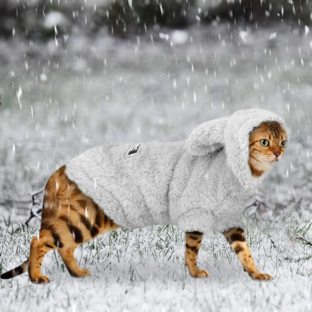 Warm Cat Clothes - Cozy Winter Apparel
