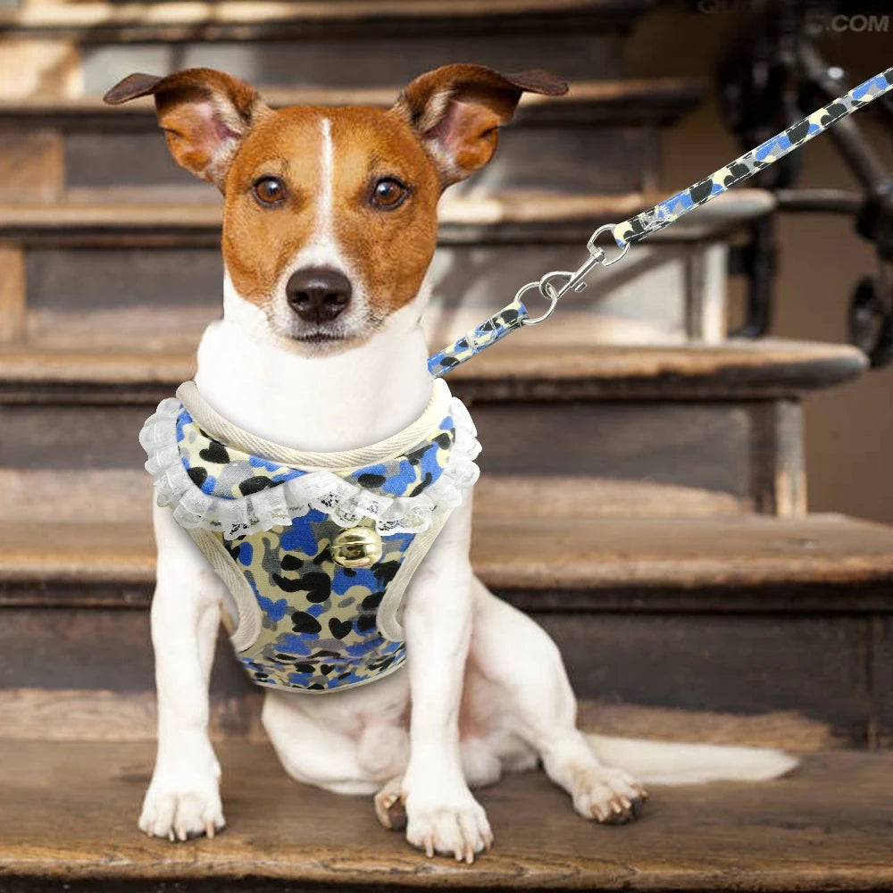 Nylon Printed Harness - Stylish Walking Gear