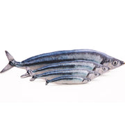 Cat Favor Fish Toy - Realistic Flopping Motion