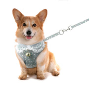 Nylon Printed Harness - Stylish Walking Gear