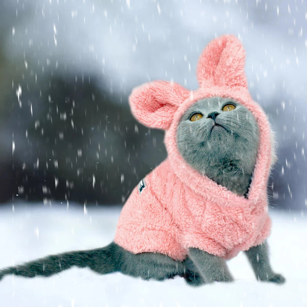Warm Cat Clothes - Cozy Winter Apparel