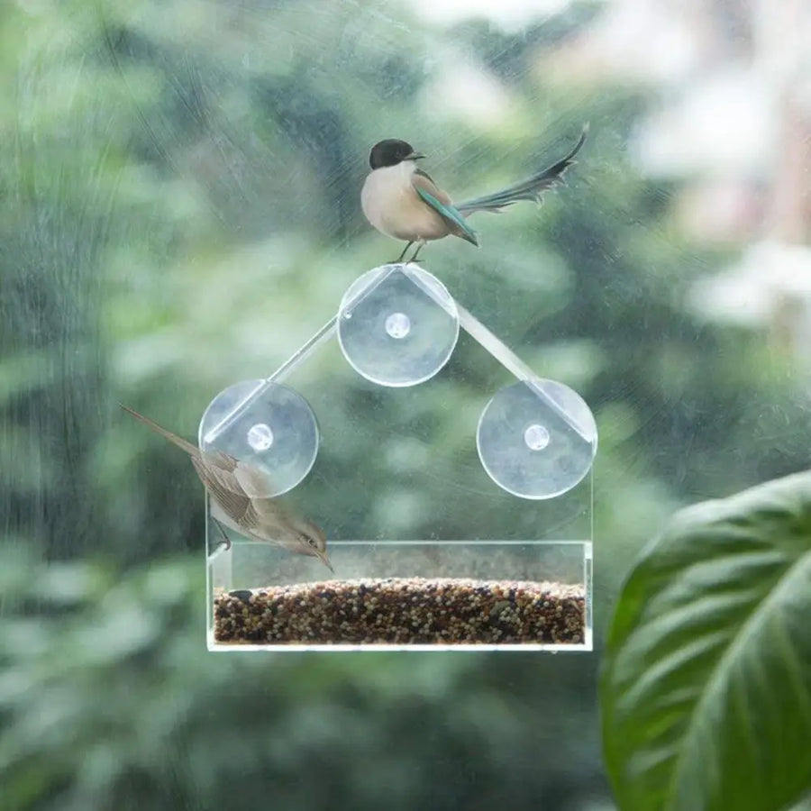 Acrylic Transparent Bird Feeder - Window Suction Cup