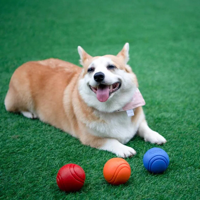 Interactive Rubber Ball - Treat Dispensing Toy