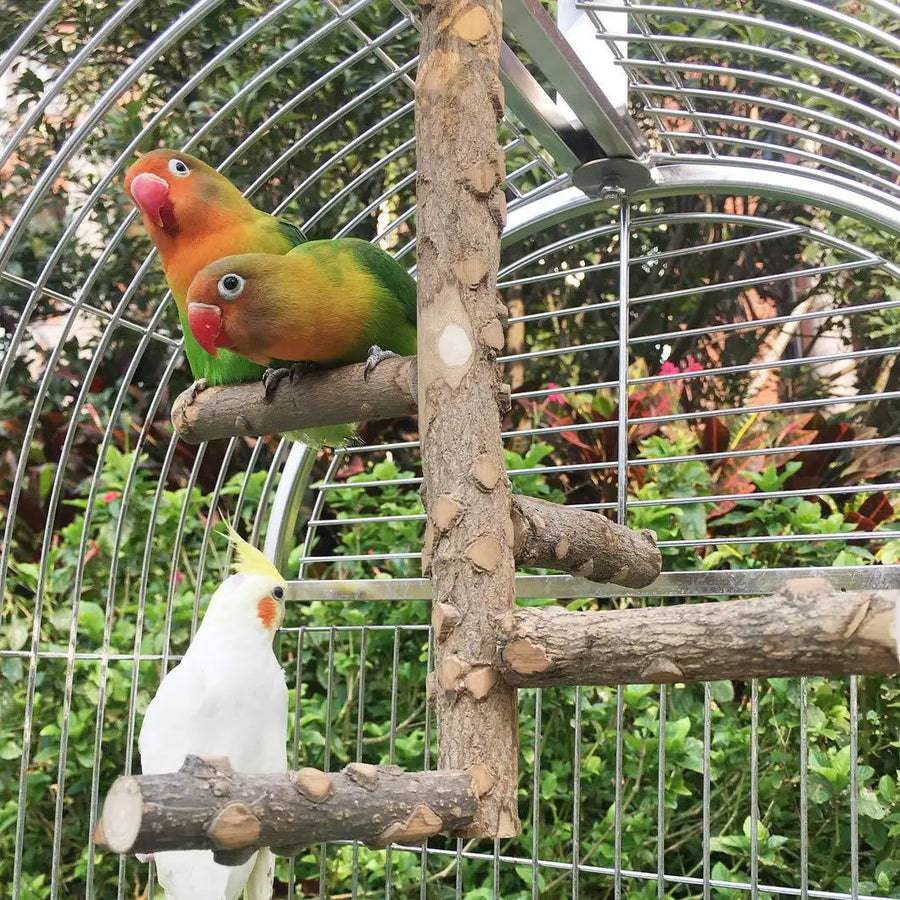 Natural Wooden Birds Perch - Healthy Foot Exercise