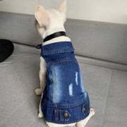 Denim Cat Clothes - Casual Western Style