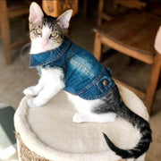 Denim Cat Clothes - Casual Western Style