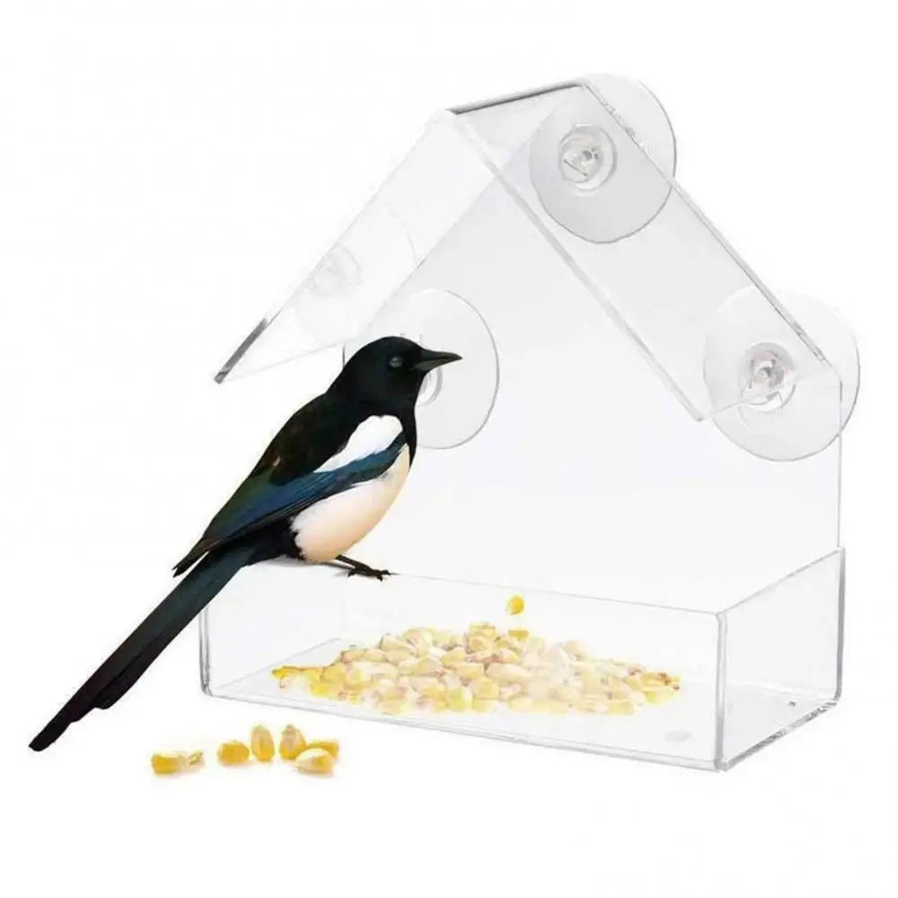 Acrylic Transparent Bird Feeder - Window Suction Cup