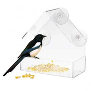 Acrylic Transparent Bird Feeder - Window Suction Cup