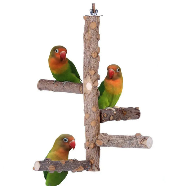 Natural Wooden Birds Perch - Healthy Foot Exercise