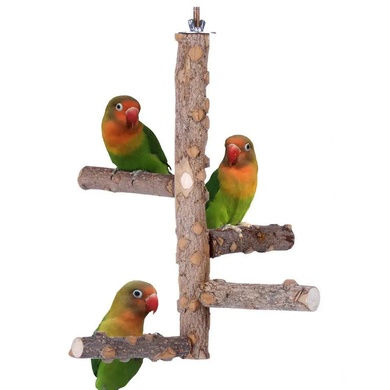 Natural Wooden Birds Perch - Healthy Foot Exercise