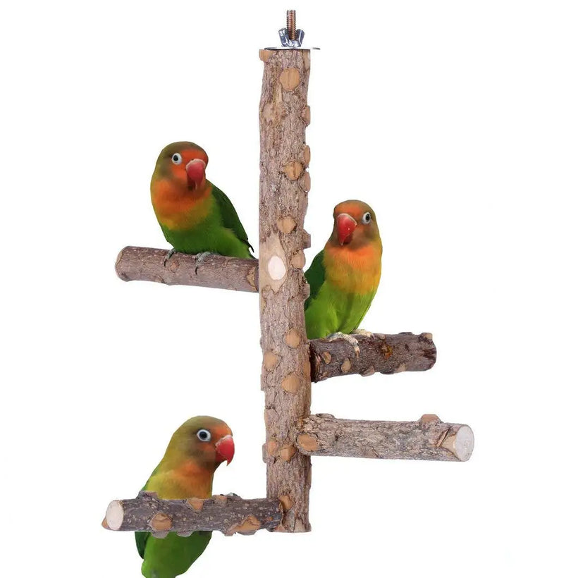 Natural Wooden Birds Perch - Healthy Foot Exercise