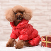 Winter Cat Clothes - Thermal Feline Warmth