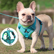 Reflective Dog Harness for Small Dogs - Night Safety