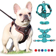 Reflective Dog Harness for Small Dogs - Night Safety