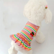 Cute Pet Outfit - Adorable Fashion Ensemble