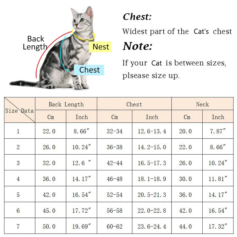 Kimono Style Outfit - Japanese-Inspired Pet Wear