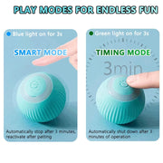 Electric Cat Ball Toys - Self-Rolling Interactive Play