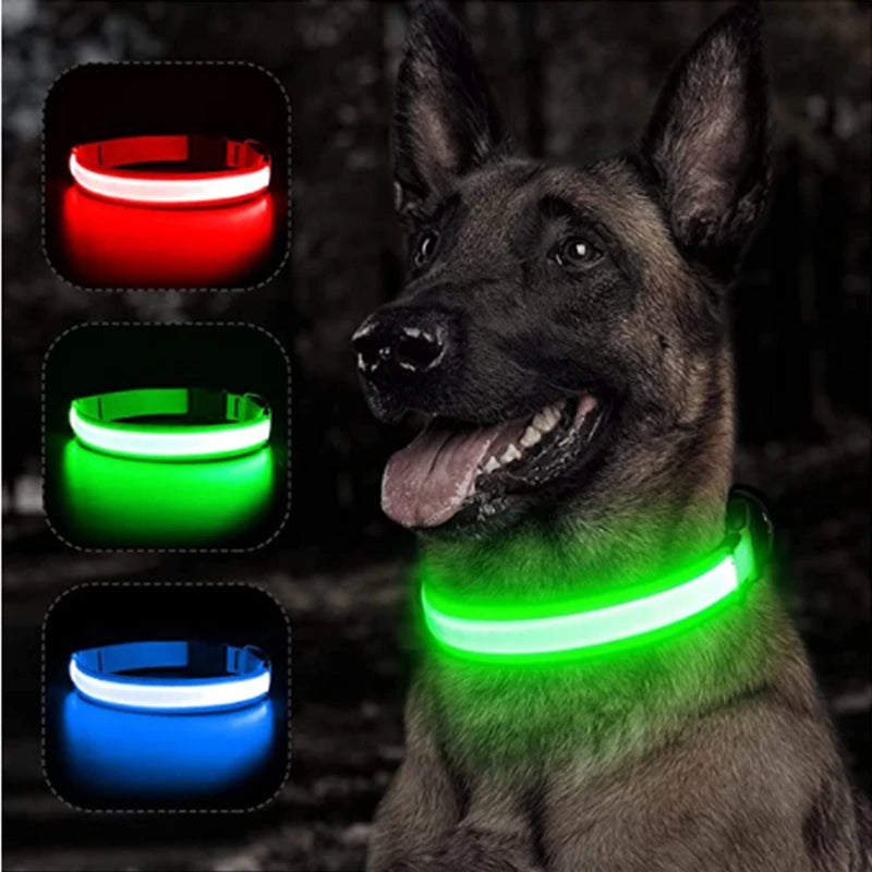 USB Charging Glowing Collar with Pendant - LED Safety