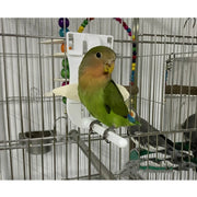 Birds Food Holder - Secure Fruit & Veggie Clip