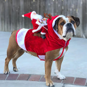 Christmas Pet Costume - Festive Holiday Outfit