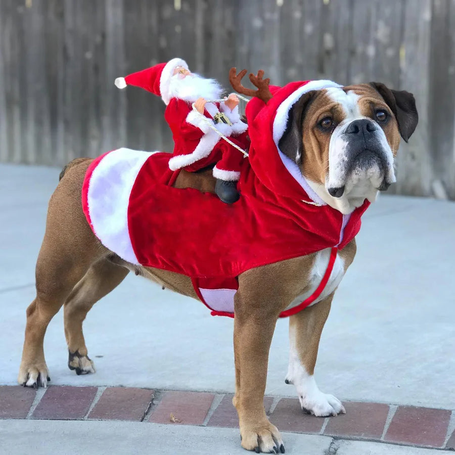 Christmas Pet Costume - Festive Holiday Outfit