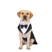 Formal Dog Tuxedo - Elegant Special Occasion Wear