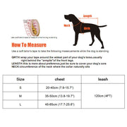 Cute Nylon Harness and Leash Set - Safe Walking Gear