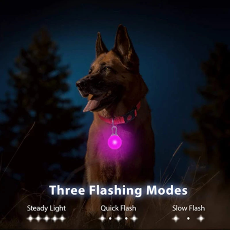 USB Charging Glowing Collar with Pendant - LED Safety