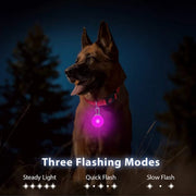 USB Charging Glowing Collar with Pendant - LED Safety