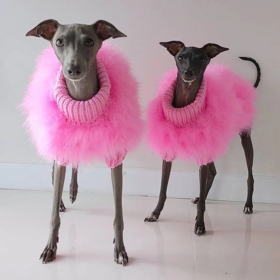 Winter Warm Dog Clothes - Insulated Cold Weather Gear