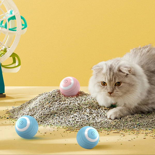 Electric Cat Ball Toys - Self-Rolling Interactive Play