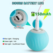 Electric Cat Ball Toys - Self-Rolling Interactive Play