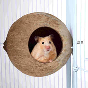 Coconut Shell Bird House - Natural Nesting Hideaway