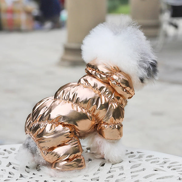 Winter Cat Clothes - Thermal Feline Warmth