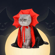 Vampire Cloak Pet Outfit - Spooky Halloween Costume