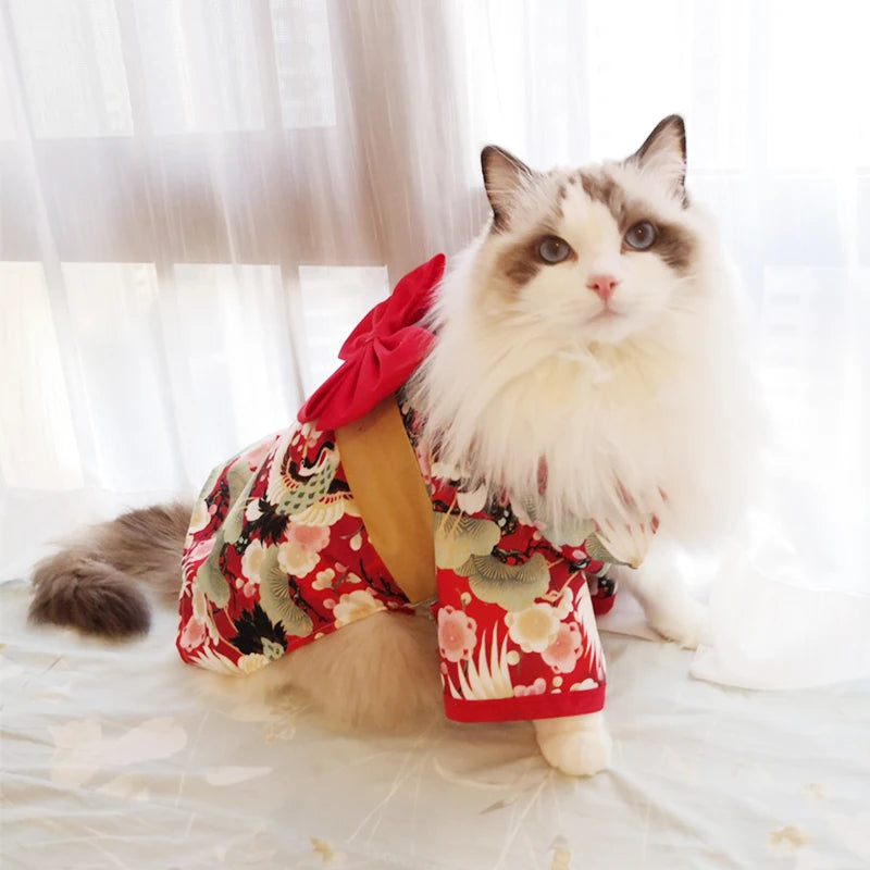 Kimono Style Outfit - Japanese-Inspired Pet Wear