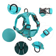 Reflective Dog Harness for Small Dogs - Night Safety