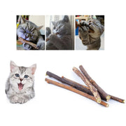 10pcs Pure Natural Catnip Cat Toy - Variety Pack